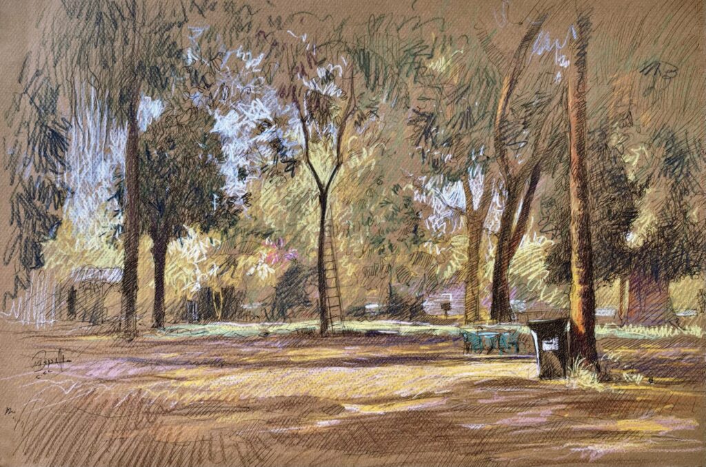 Landscape 1- Sunlit Park with Ladder